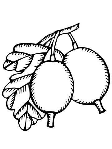 Two gooseberries coloring book